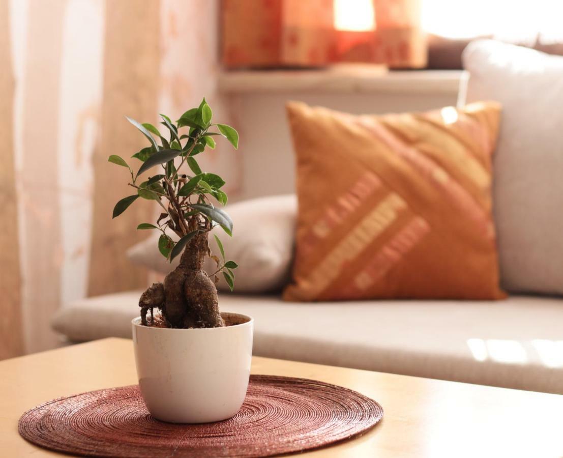 Baum Apartments 巴特塔茨曼斯多夫 外观 照片